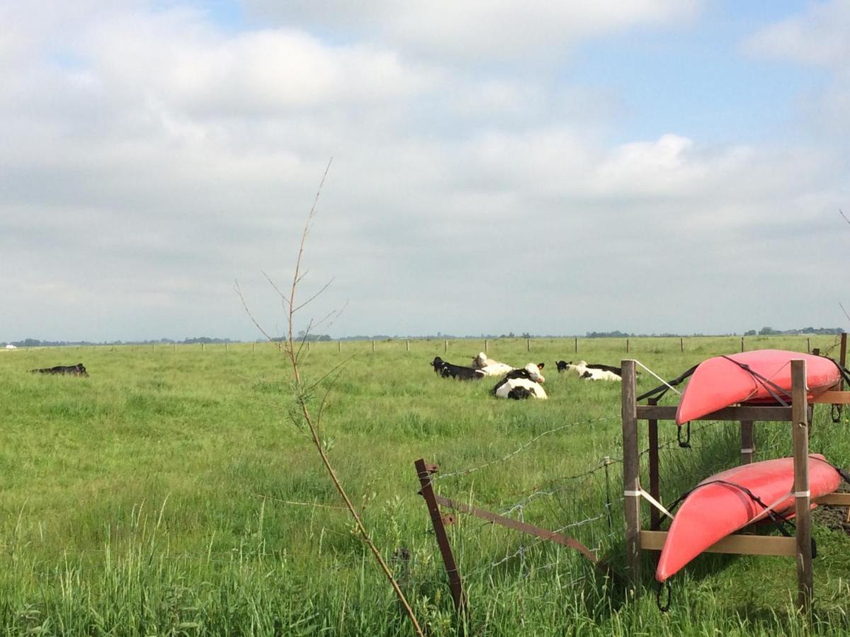Ollediek Houwerzijl Exteriör bild