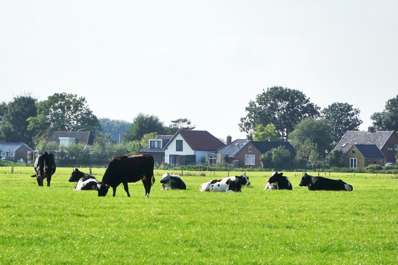 Ollediek Houwerzijl Exteriör bild