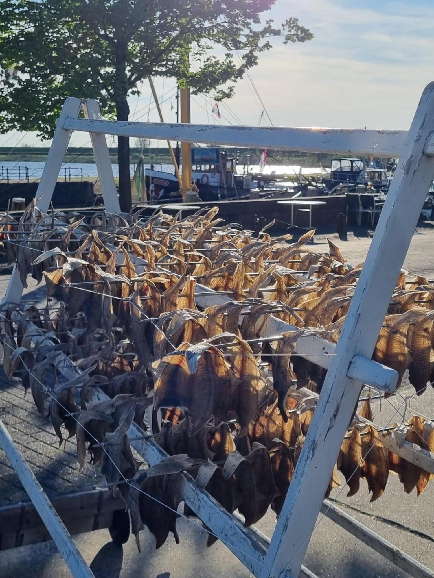 Ollediek Houwerzijl Exteriör bild